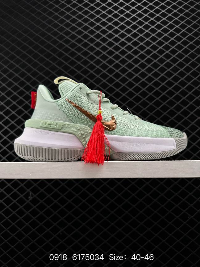 Lebron-029