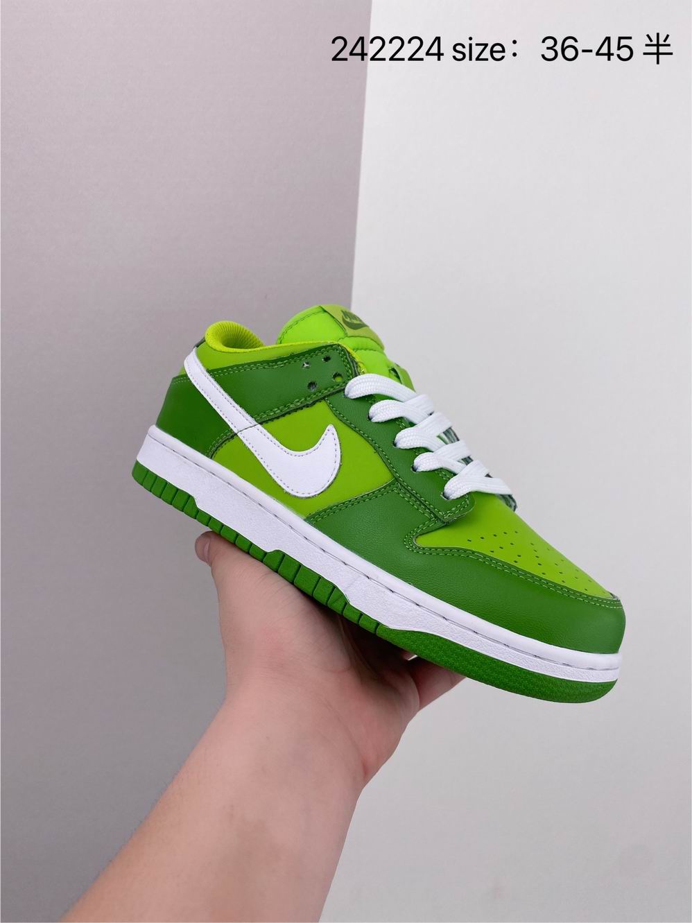 Dunk-012