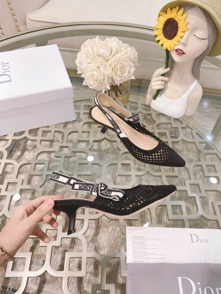 W-Dior-031