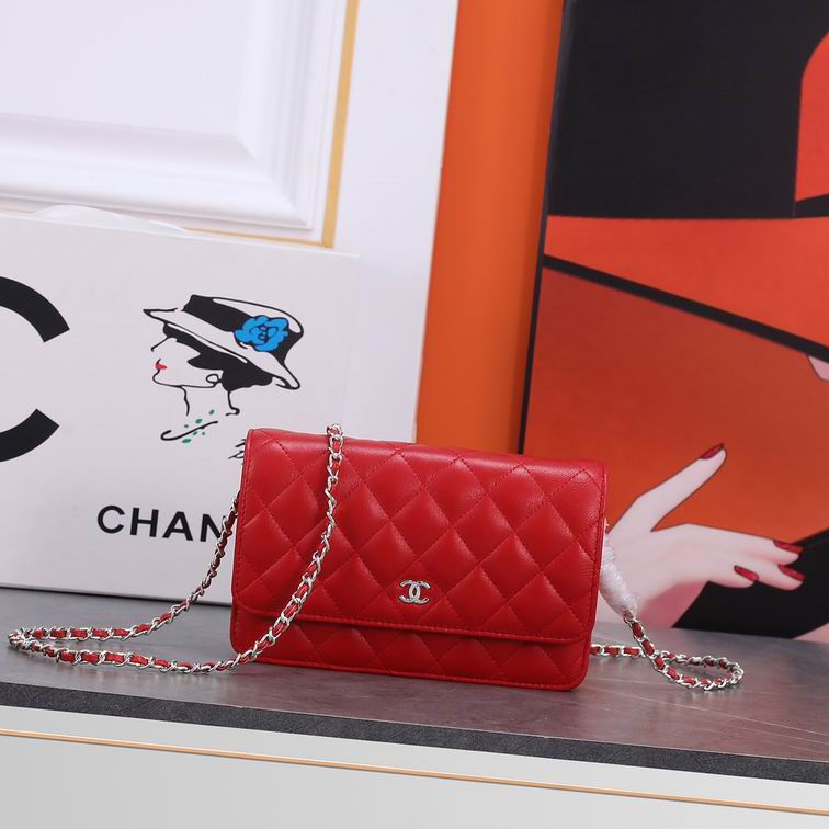 Bags-Chanel-029