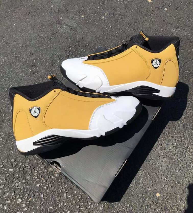 Jordan14-031