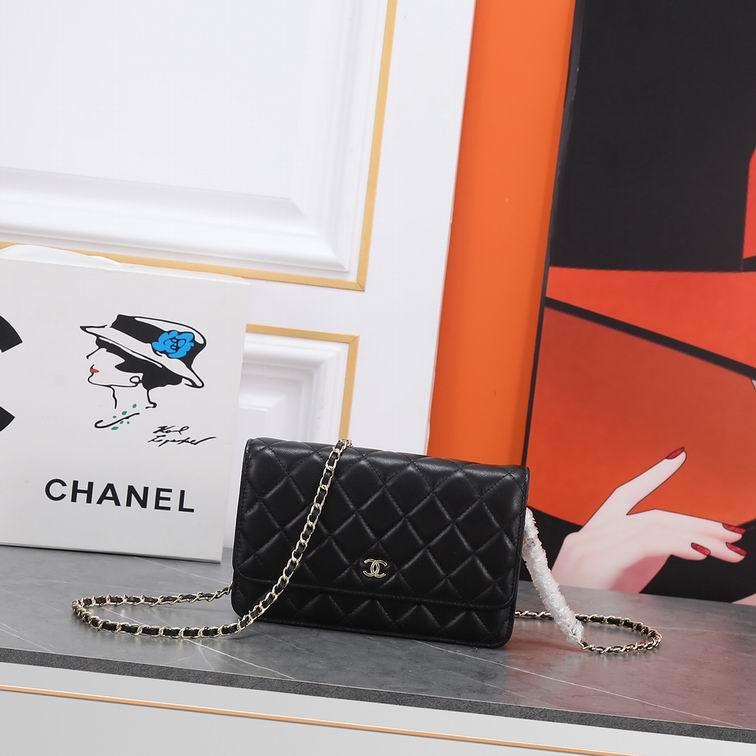 Bags-Chanel-039