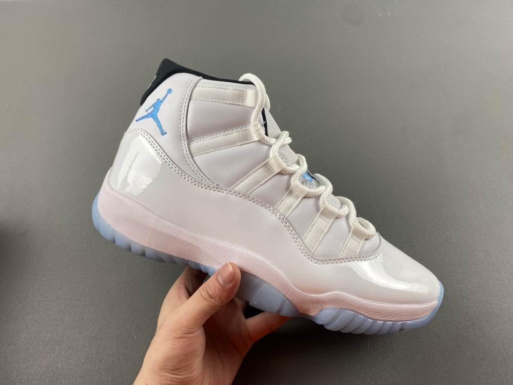 Jordan11-100