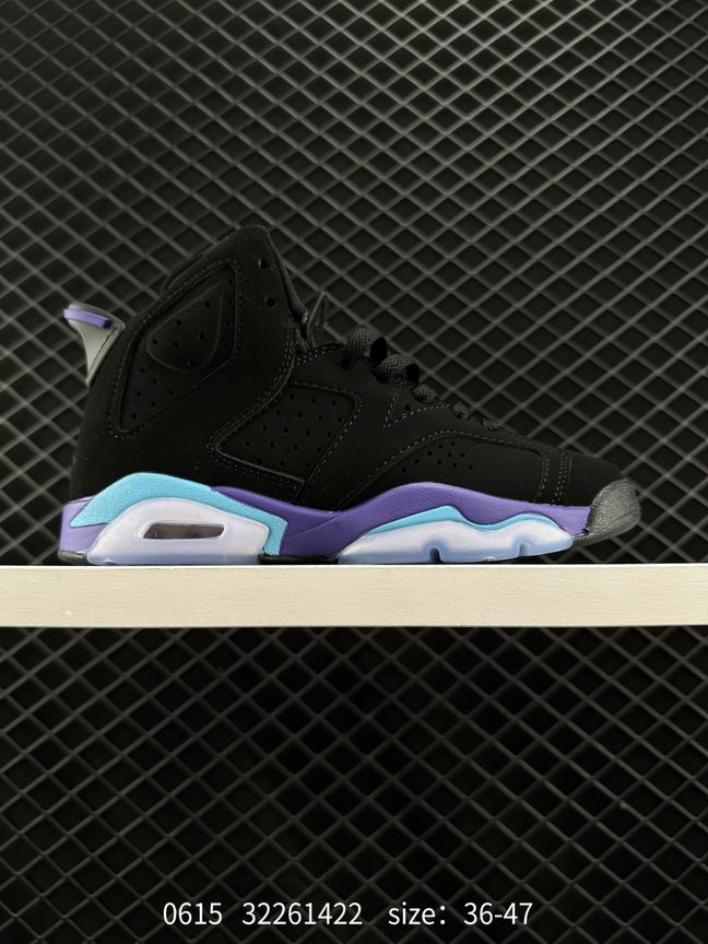 Jordan6-009