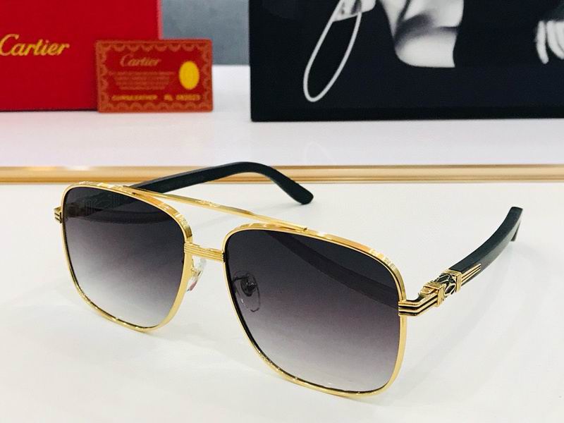 Cartier-165