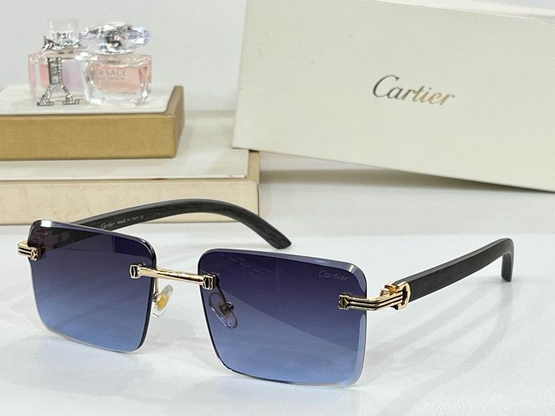 Cartier-086