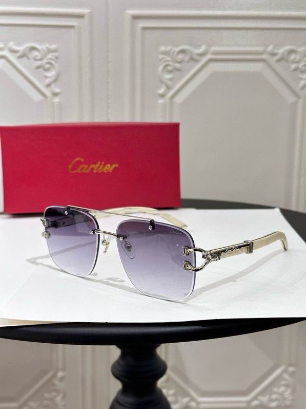 Cartier-095