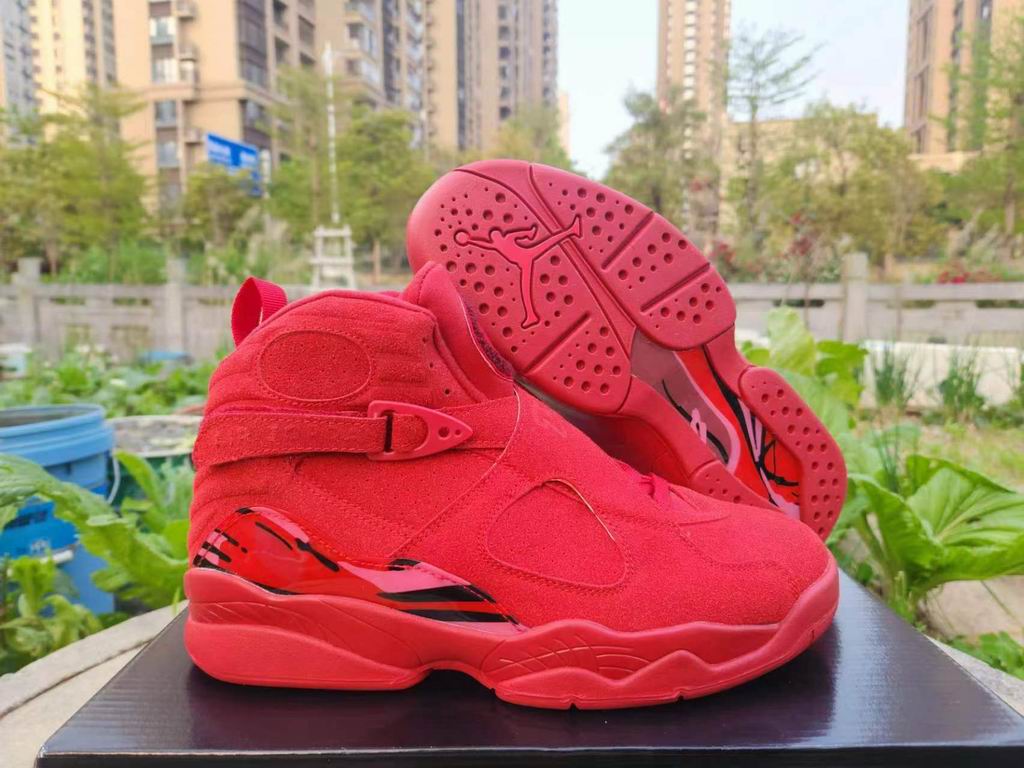 Jordan8-010