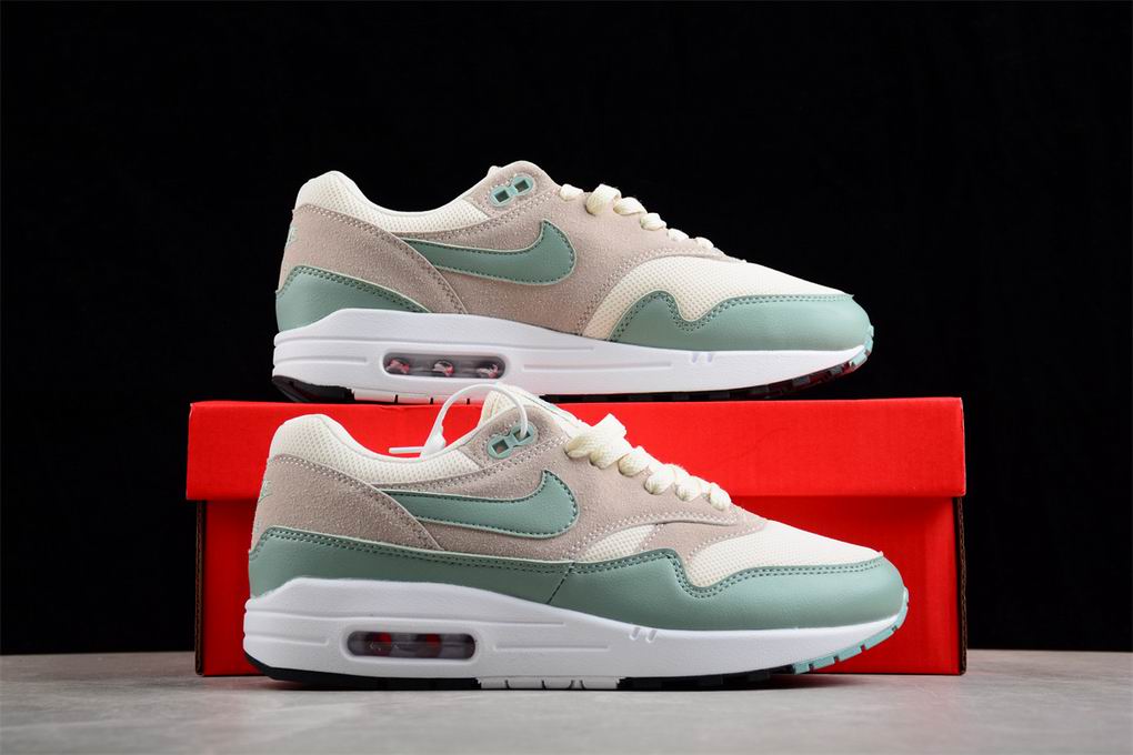 Nike Air Max 1-065
