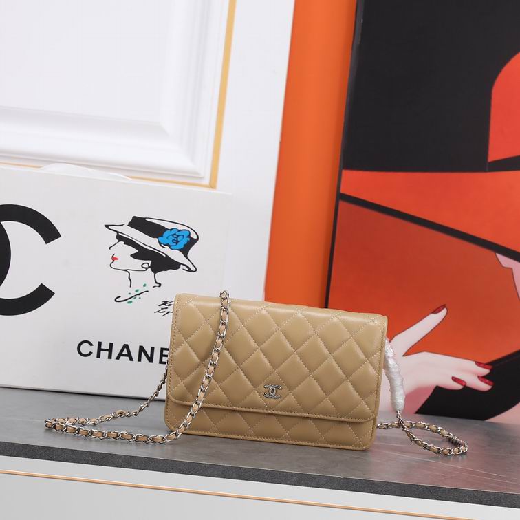 Bags-Chanel-075