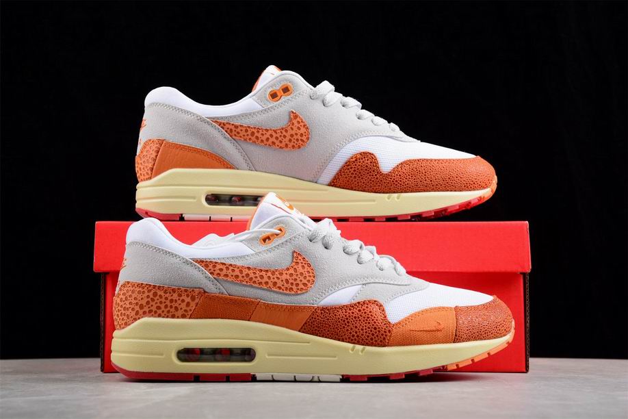Nike Air Max 1-070